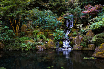 Картинка japanese garden природа парк деревья пруд камни водопад Японский сад
