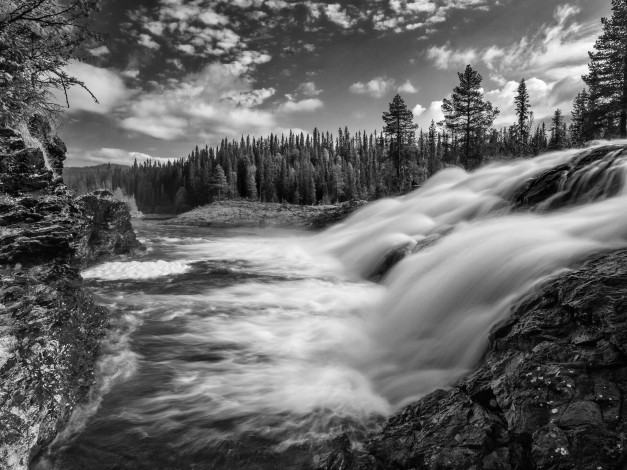 Обои картинки фото dimforsen, v&, 228, sterbotten, sweden, природа, водопады, лес, черно-белая, поток, швеция, vasterbotten, вестерботтен