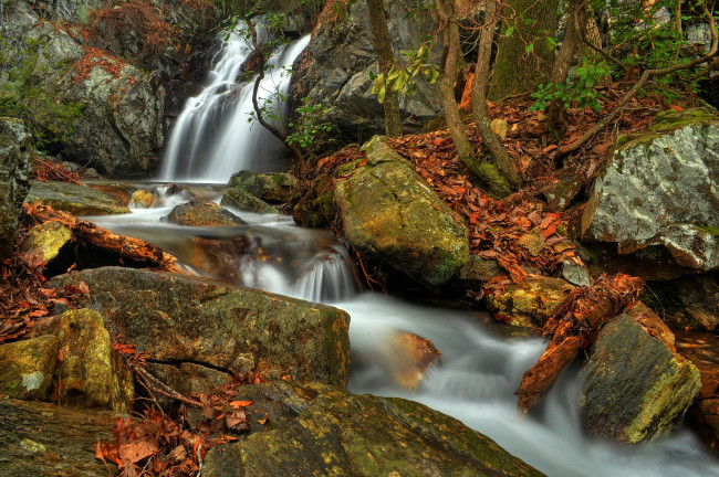 Обои картинки фото природа, водопады, листья, поток