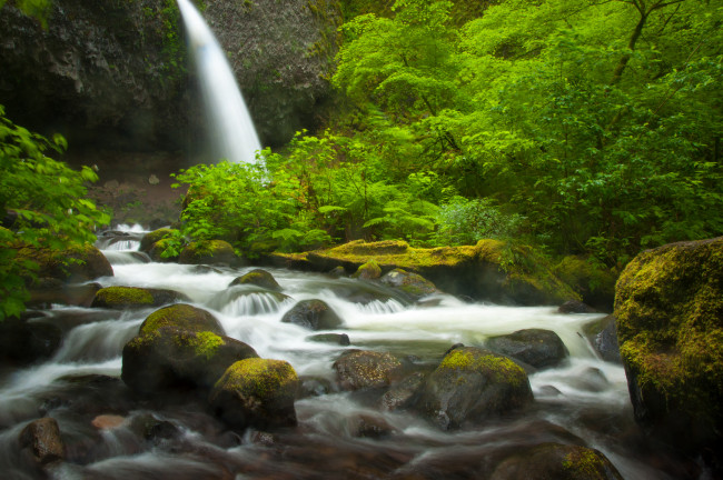 Обои картинки фото природа, водопады, поток, вода, камни, мох, ponytail, falls, columbia, river, gorge, oregon