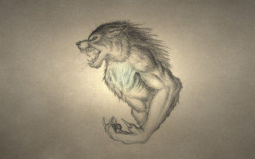 Картинка рисованные минимализм волк рычит werewolf оборотень wolf