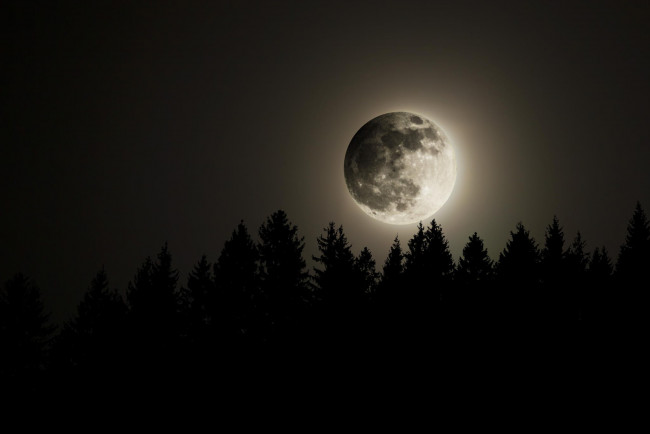 Обои картинки фото космос, луна, полнолуние, небо, лес, ночь