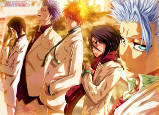 Картинка аниме bleach grimmjow jeagerjaques ishida uryuu kurosaki ichigo kuchiki rukia hitsugaya toushirou