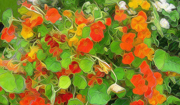 Картинка разное компьютерный+дизайн растение лепестки листья природа цветы