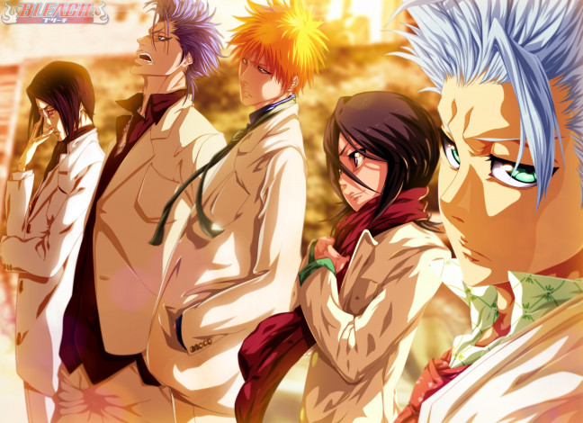 Обои картинки фото аниме, bleach, grimmjow, jeagerjaques, ishida, uryuu, kurosaki, ichigo, kuchiki, rukia, hitsugaya, toushirou