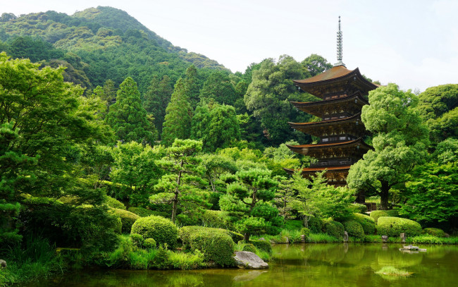 Обои картинки фото города, - пейзажи, зелень, парк, Япония, yamaguchi, пруд, природа