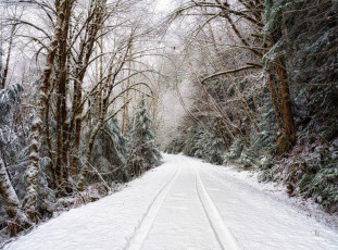 обоя природа, дороги, деревья, дорога, снег
