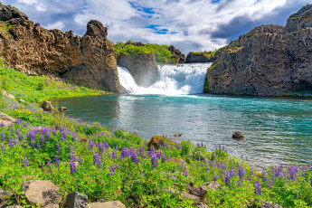 Картинка природа водопады цветы водопад скалы