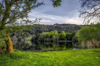 Картинка природа реки озера река лес отражение