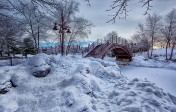 Картинка природа парк дерево снег зима
