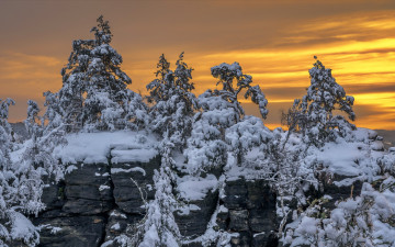 Картинка природа горы деревья снег