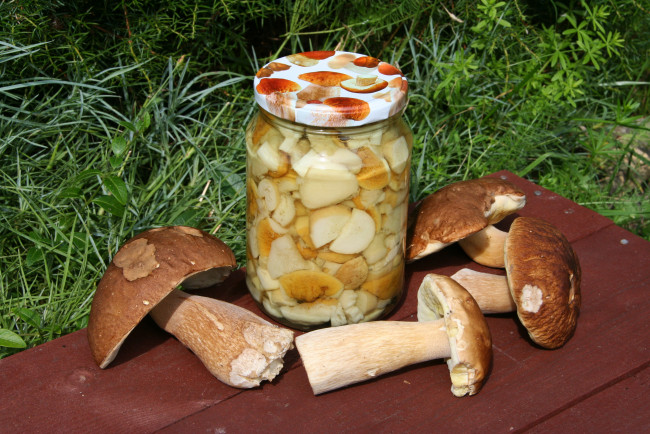 Обои картинки фото еда, грибы,  грибные блюда
