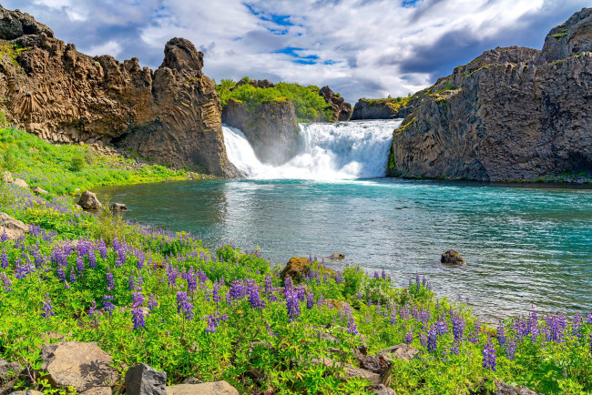Обои картинки фото природа, водопады, цветы, водопад, скалы