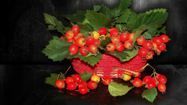 Обои картинки фото еда, фрукты,  ягоды, ягоды, корзинка, боярышник