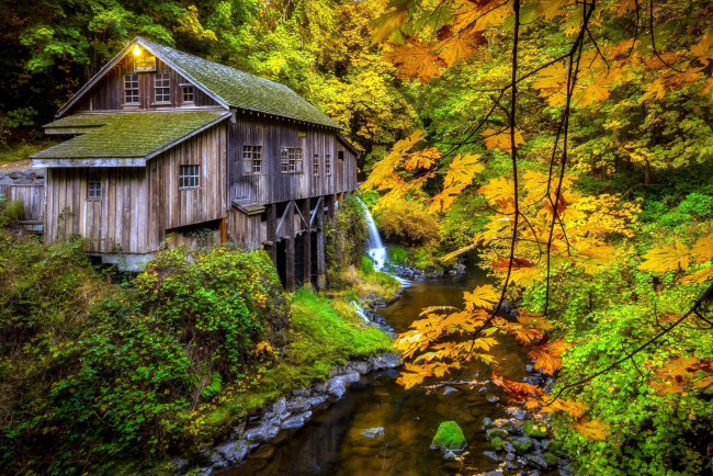 Обои картинки фото разное, мельницы, река, деревянная, мельница, осень, деревья