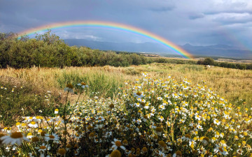 обоя rainbow outside leadville, colorado, природа, радуга, rainbow, outside, leadville