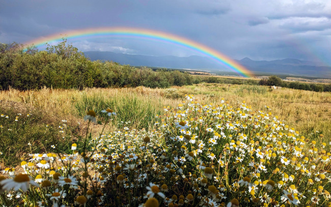 Обои картинки фото rainbow outside leadville, colorado, природа, радуга, rainbow, outside, leadville