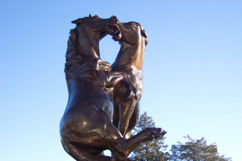 Картинка города памятники скульптуры арт объекты лошадьи лошади
