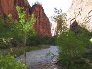 Картинка природа реки озера national park zion