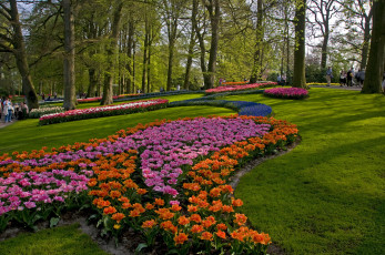 Картинка природа парк деревья цветы лето