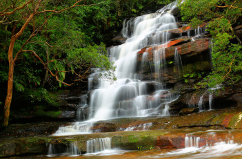 Картинка brisbane waters national park australia природа водопады somersby falls
