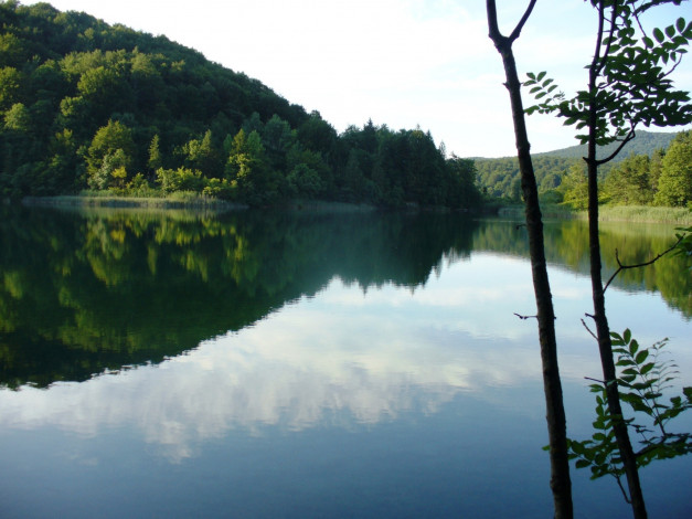 Обои картинки фото природа, реки, озера, лес, река, деревья
