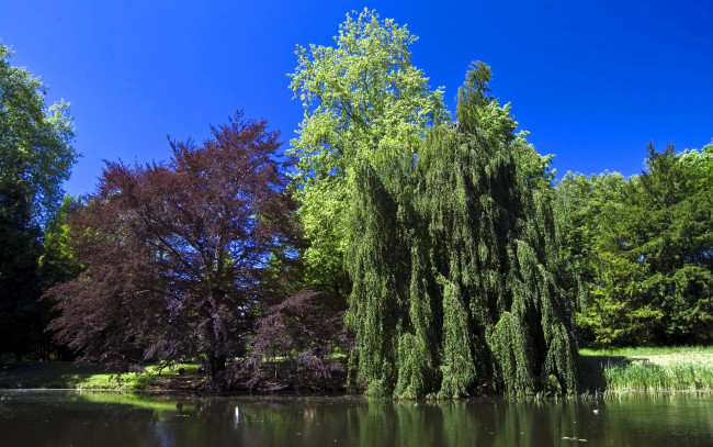 Обои картинки фото park, ksiаzecy, zagan, poland, природа, парк, деревья, река