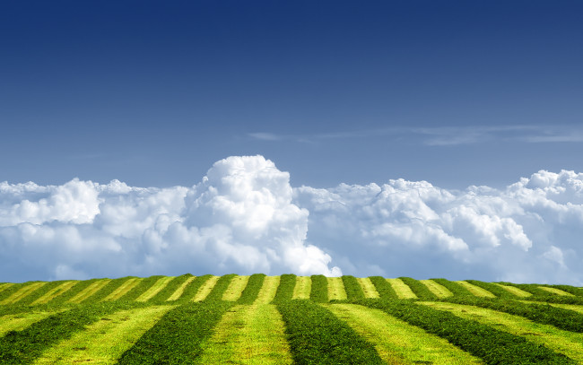 Обои картинки фото природа, поля, небо, облака, поле