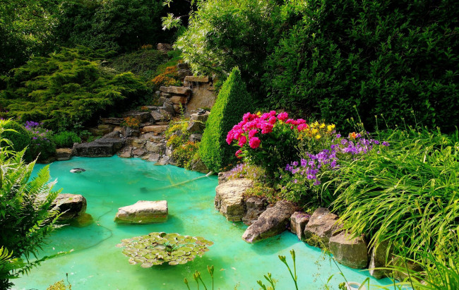 Обои картинки фото природа, парк, водоем, камни, цветы