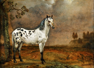 Картинка рисованные животные +лошади пятнистый конь