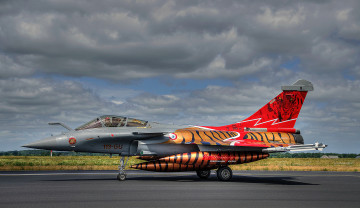 Картинка rafale+c+reg+113-gu+