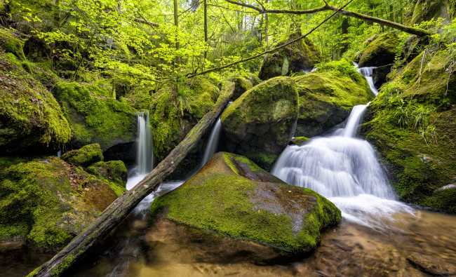 Обои картинки фото природа, водопады, мох, поток, лес, камни