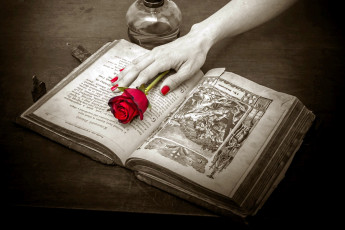обоя разное, руки, роза, книга, лампа