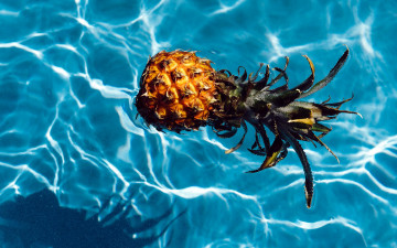 Картинка еда ананас вода отражение