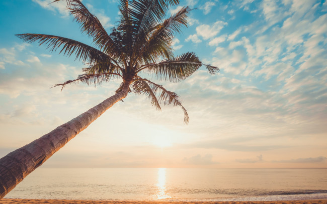 Обои картинки фото природа, побережье, palms, море, волны, sunset, paradise, берег, beautiful, закат, tropical, лето, пляж, sea, sand, seascape, небо, summer, beach, песок, пальмы