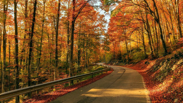 обоя природа, дороги, осень, шоссе, дорога, поворот, листья, листопад