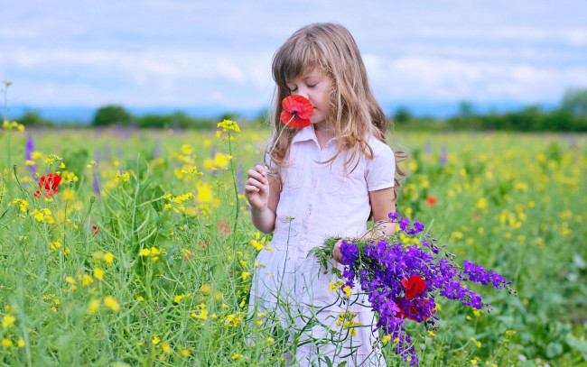 Обои картинки фото разное, дети, девочка, поле, цветы