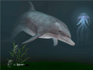 Картинка рисованные животные дельфины