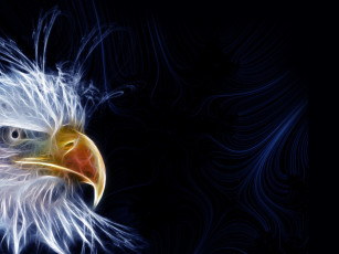 Картинка 3д графика animals животные орел