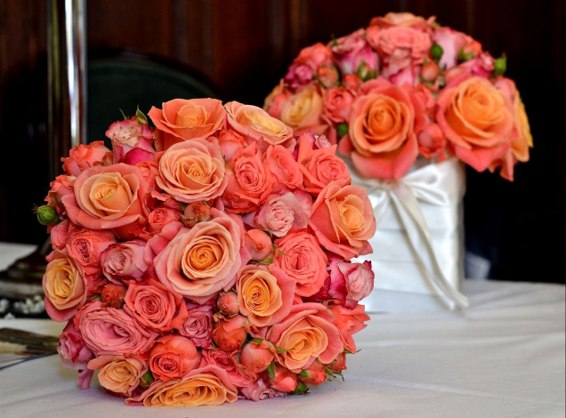 Обои картинки фото цветы, розы, оранжевый, круглый