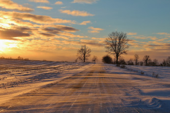 Картинка природа дороги снег зима деревья