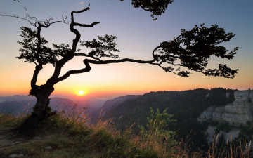 Картинка природа восходы закаты утро дерево горы