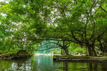 Картинка вьетнам природа реки озера водоем деревья ступени