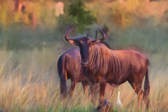 Картинка рисованное животные быки животное луг трава