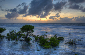 Картинка австралия природа моря океаны водоем деревья облака