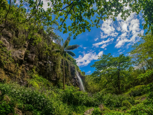 Обои картинки фото франция, природа, водопады, облака, деревья, гора, пальма