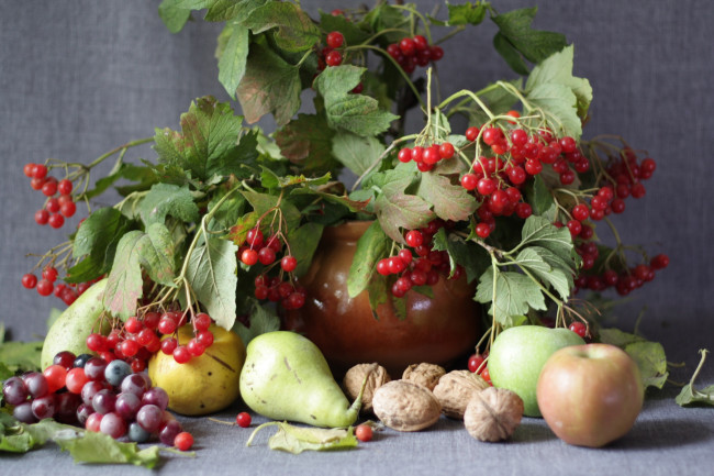 Обои картинки фото еда, натюрморт, листья, калина, зелень, орехи, фрукты, яблоки, айва, виноград, груши