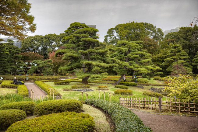Обои картинки фото Япония, природа, парк, растения, деревья, забор, дорожки, кустарники
