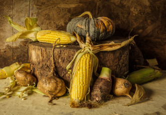 обоя еда, натюрморт, still, life, corn, pumpkin, овощи, тыква, урожай, кукуруза, autumn, harvest, vegetables