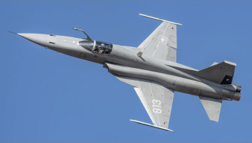 Картинка авиация боевые+самолёты f-5 самолёт